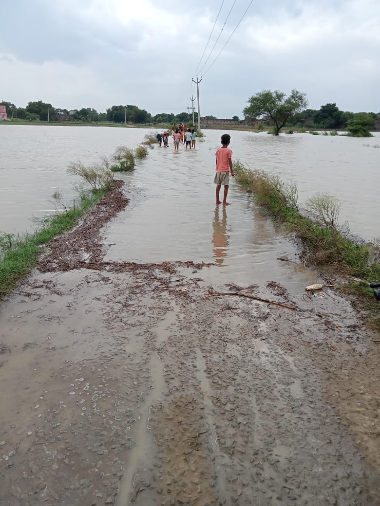 बड़हरा मे गंगा व सोन नदी के जलस्तर में तेजी से वृद्धि जारी,बाढ़ का खतरा मंडराया